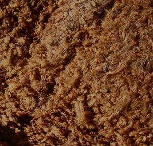 Various Leather Items