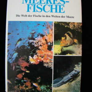 Meeresfische / Guide - Kaiser (german)