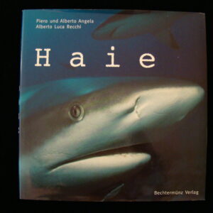 Haie - Angela / Recchi - Bechtermünz (german) HC