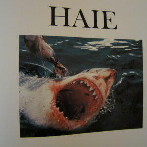 HAIE - Karl Müller (german) HC