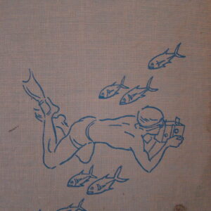 Unter Korallen und Haien - Hans Hass/Ullstein (german) HC