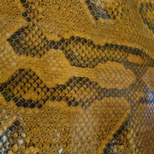 SNAKESKIN 3,10 x 0,20 mtrs