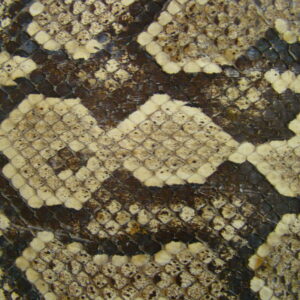 SNAKESKIN 2,00 x 0,20 mtrs