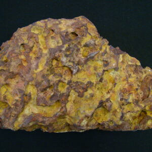 REEF STONE Devil´s Island French Guyane 4,7 kg