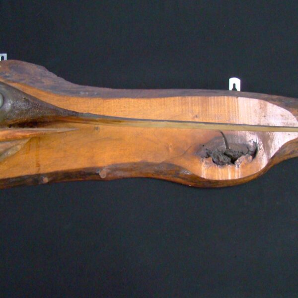 SWORDFISH Head "Xiphias Gladius" Wall-Mount