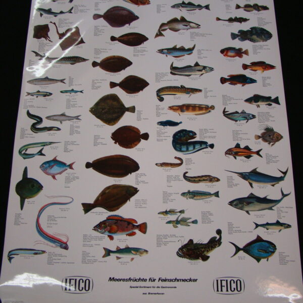 SEAFISH / MOLLUSCS Rollcards IFICO DK  High-Gloss 2 Parts